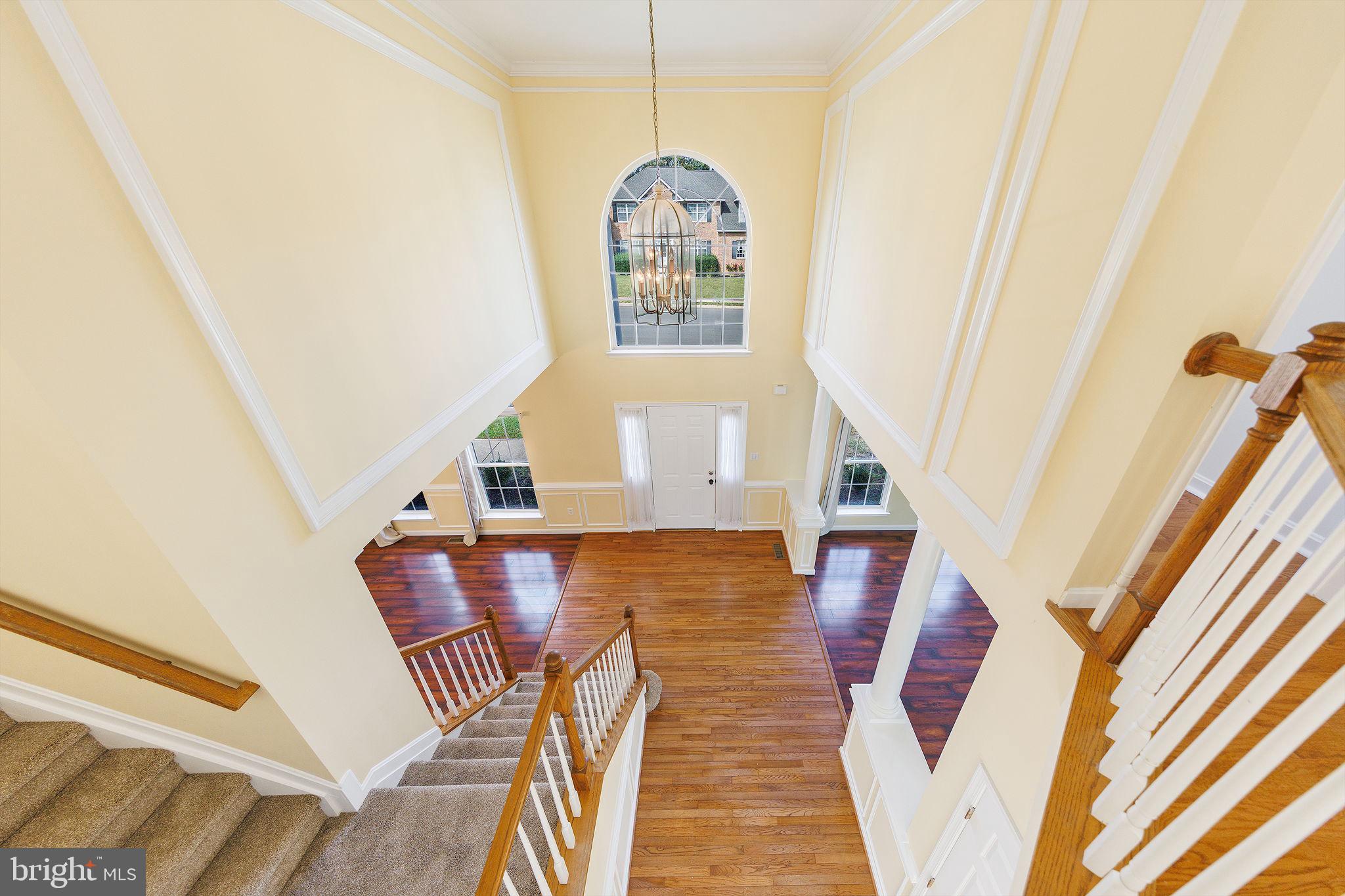 1007 NORFOLK DRIVE