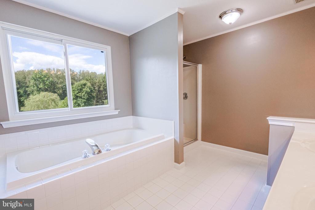 12438 WHISPER CREEK COURT