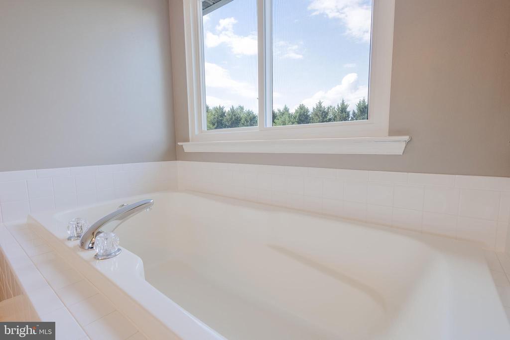 12438 WHISPER CREEK COURT