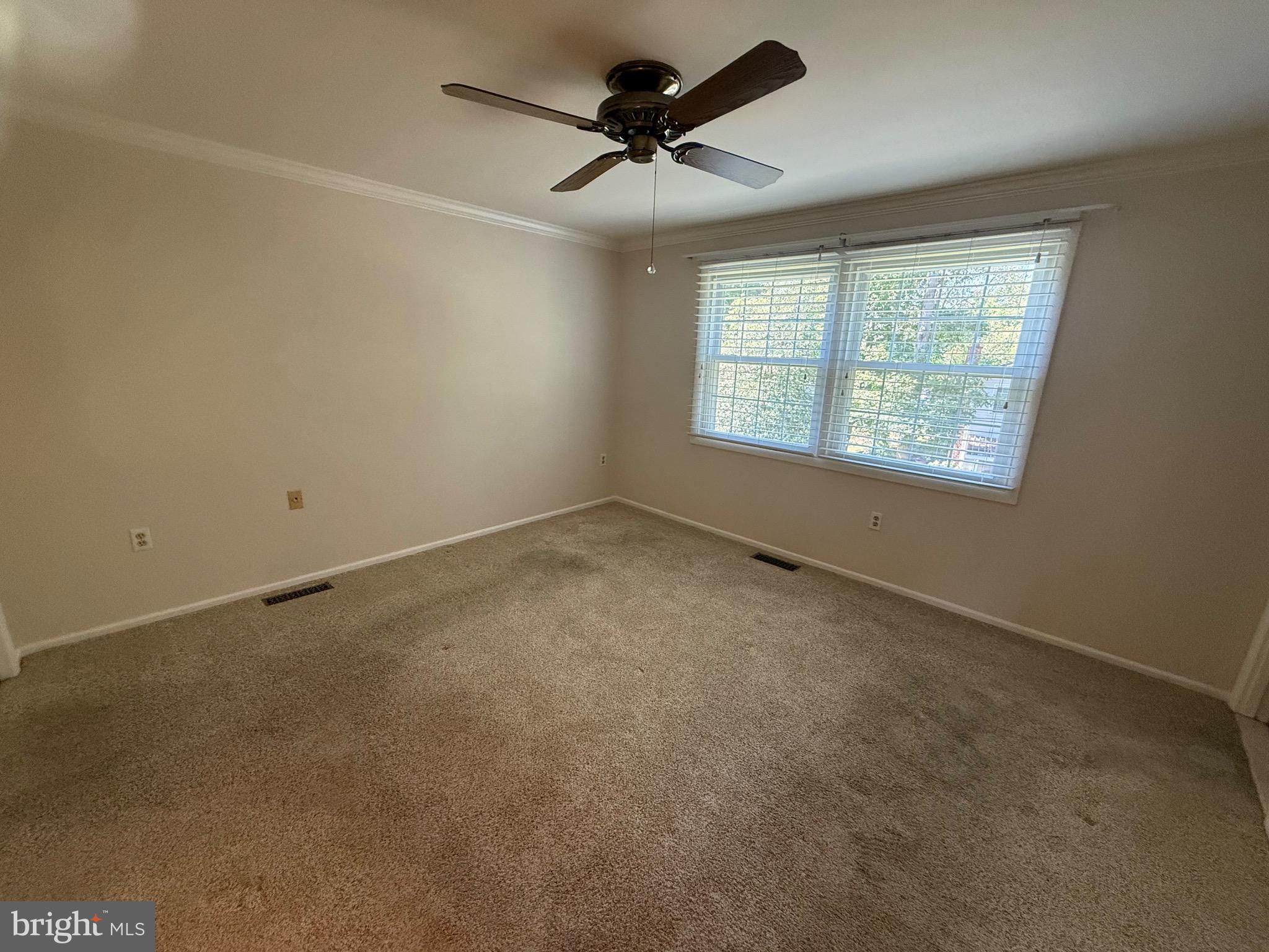 4007 BREWSTER LANE