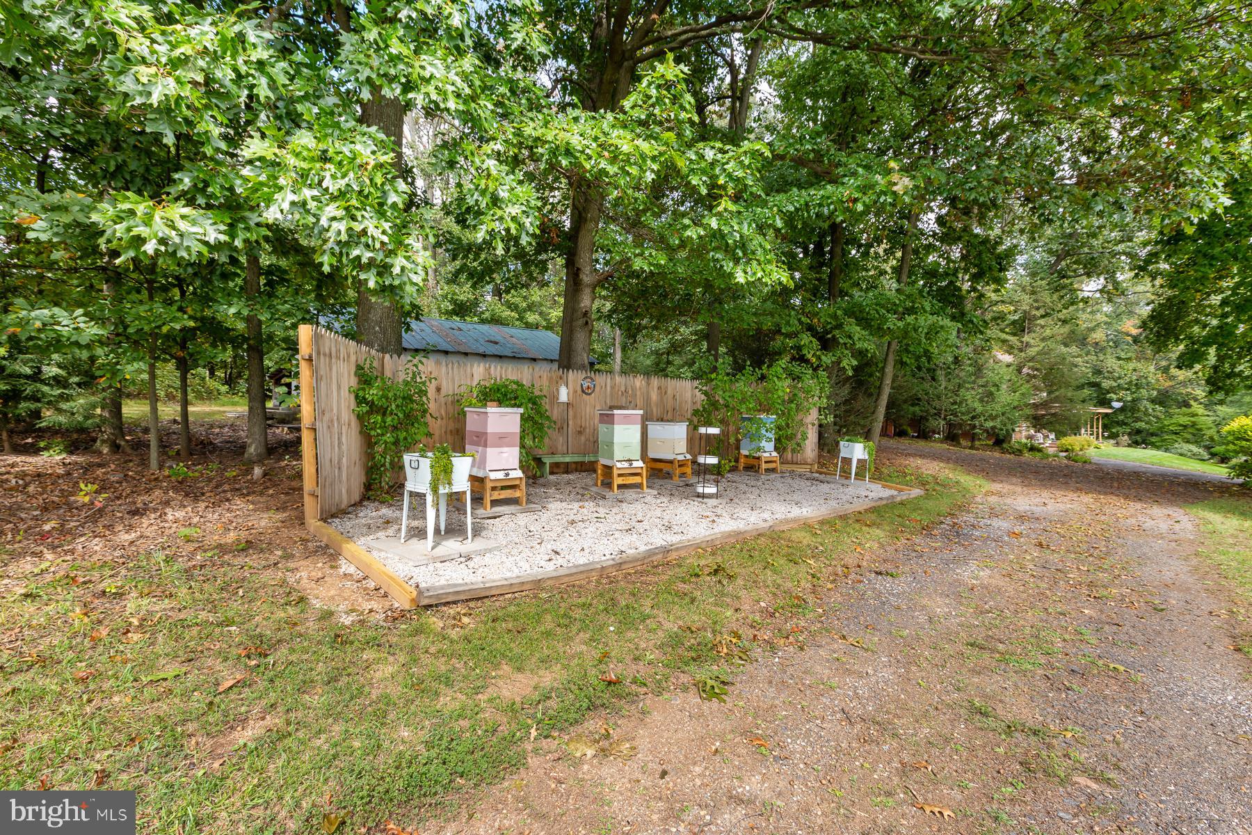 4150 Alesia Lineboro ROAD