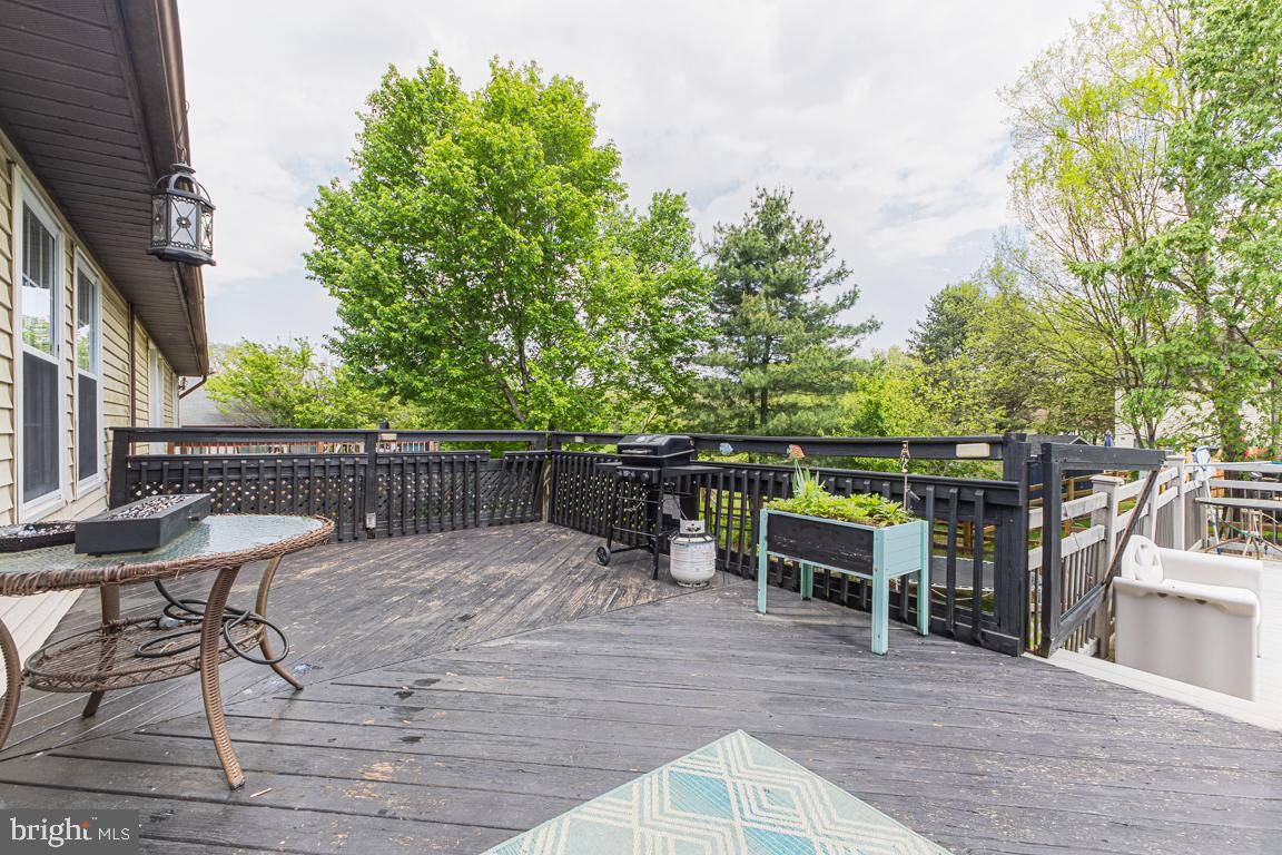 950 WAMPLER LANE