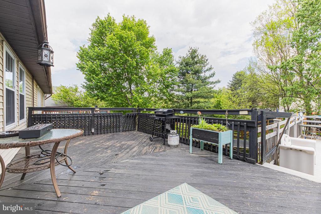 950 WAMPLER LANE