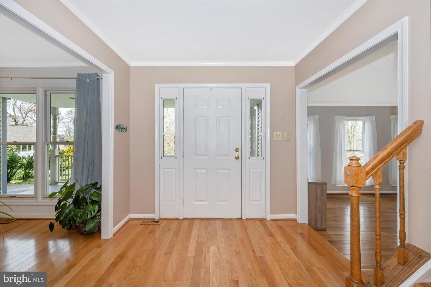 5595 Jollie DRIVE
