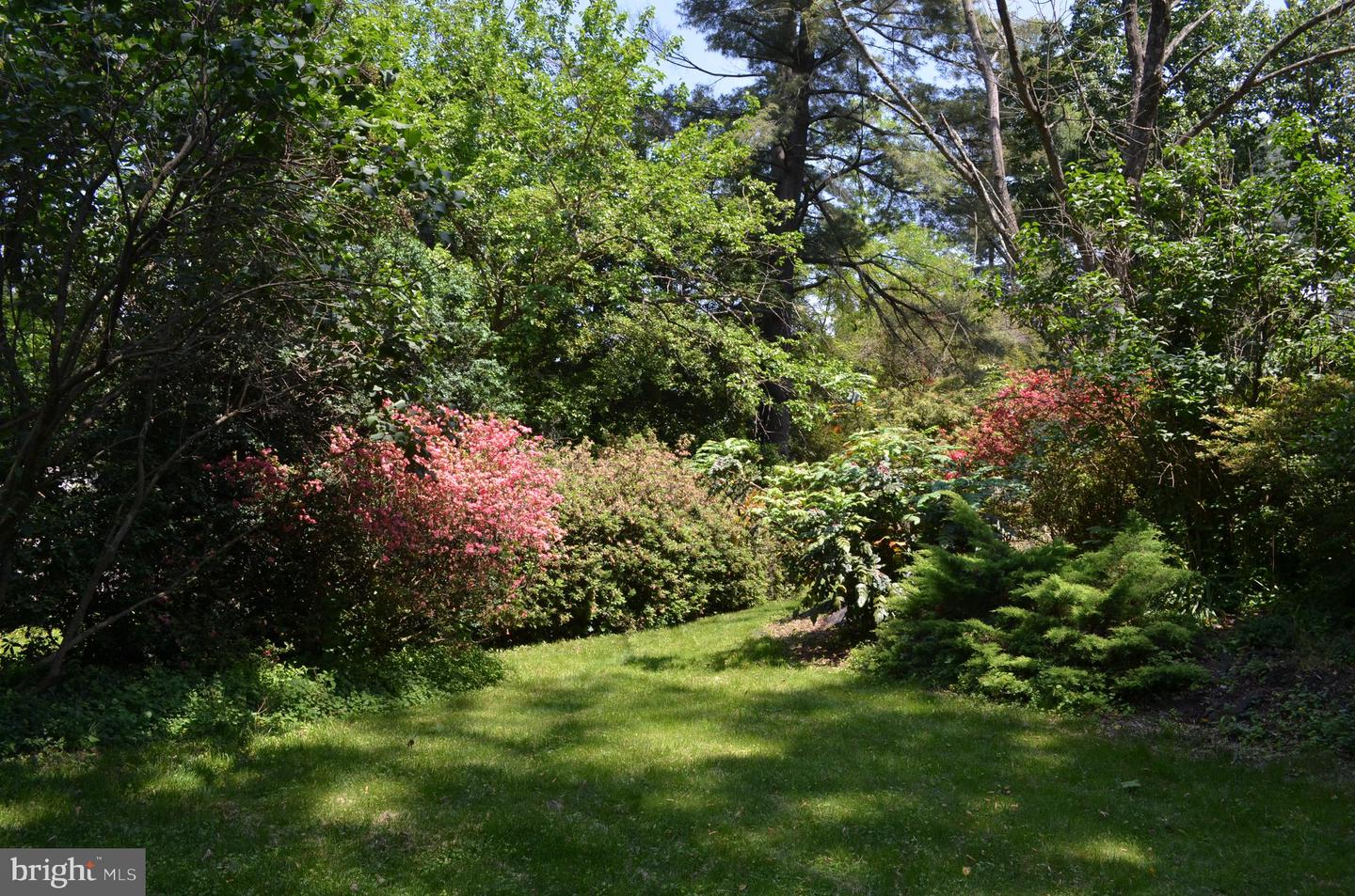 6003 Alynwood DRIVE