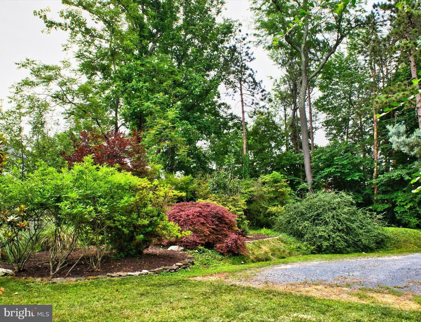 6003 Alynwood DRIVE