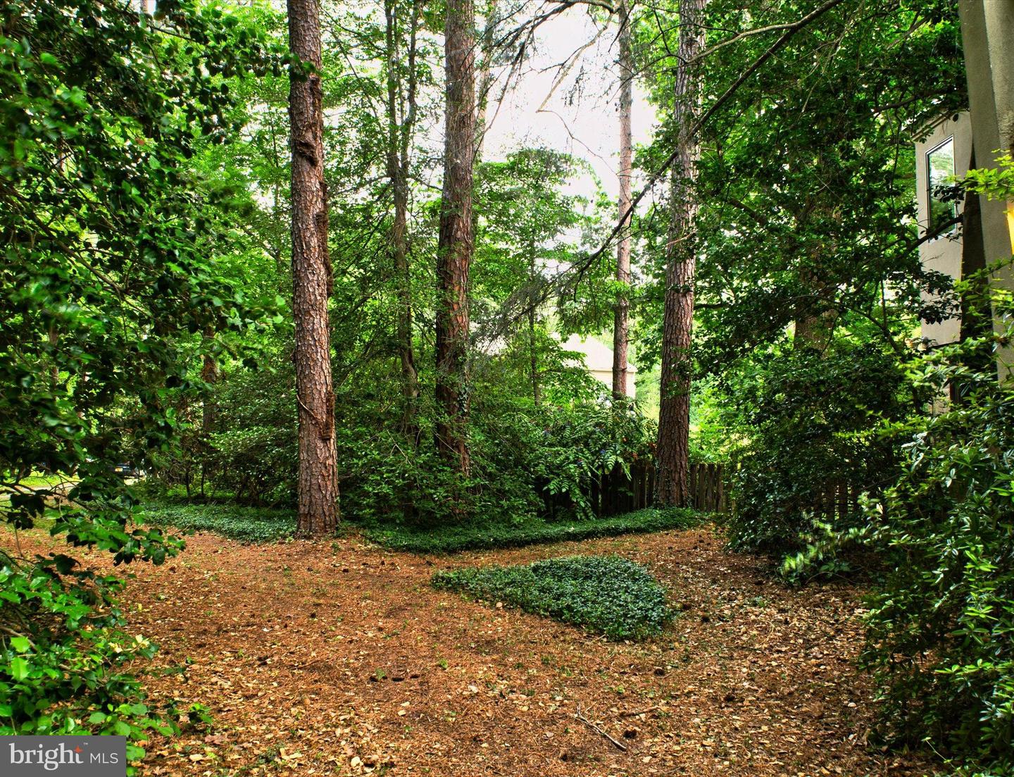6003 Alynwood DRIVE