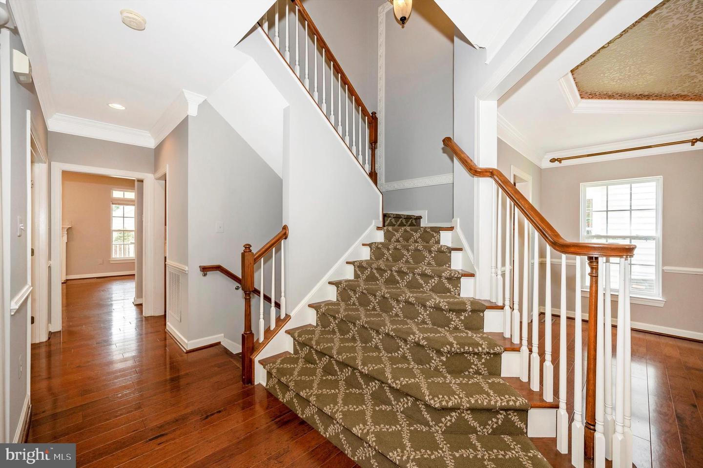 5535 Tracey Bruce DRIVE