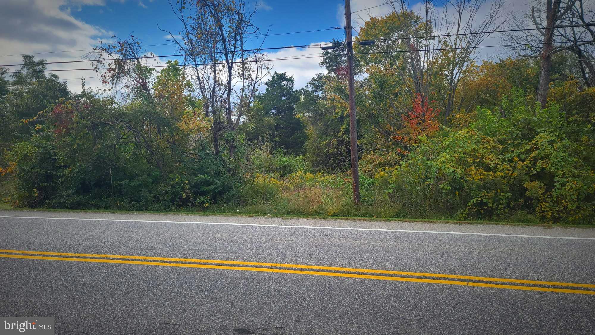 Lots 14, 15, 16 WAYNESBORO RD