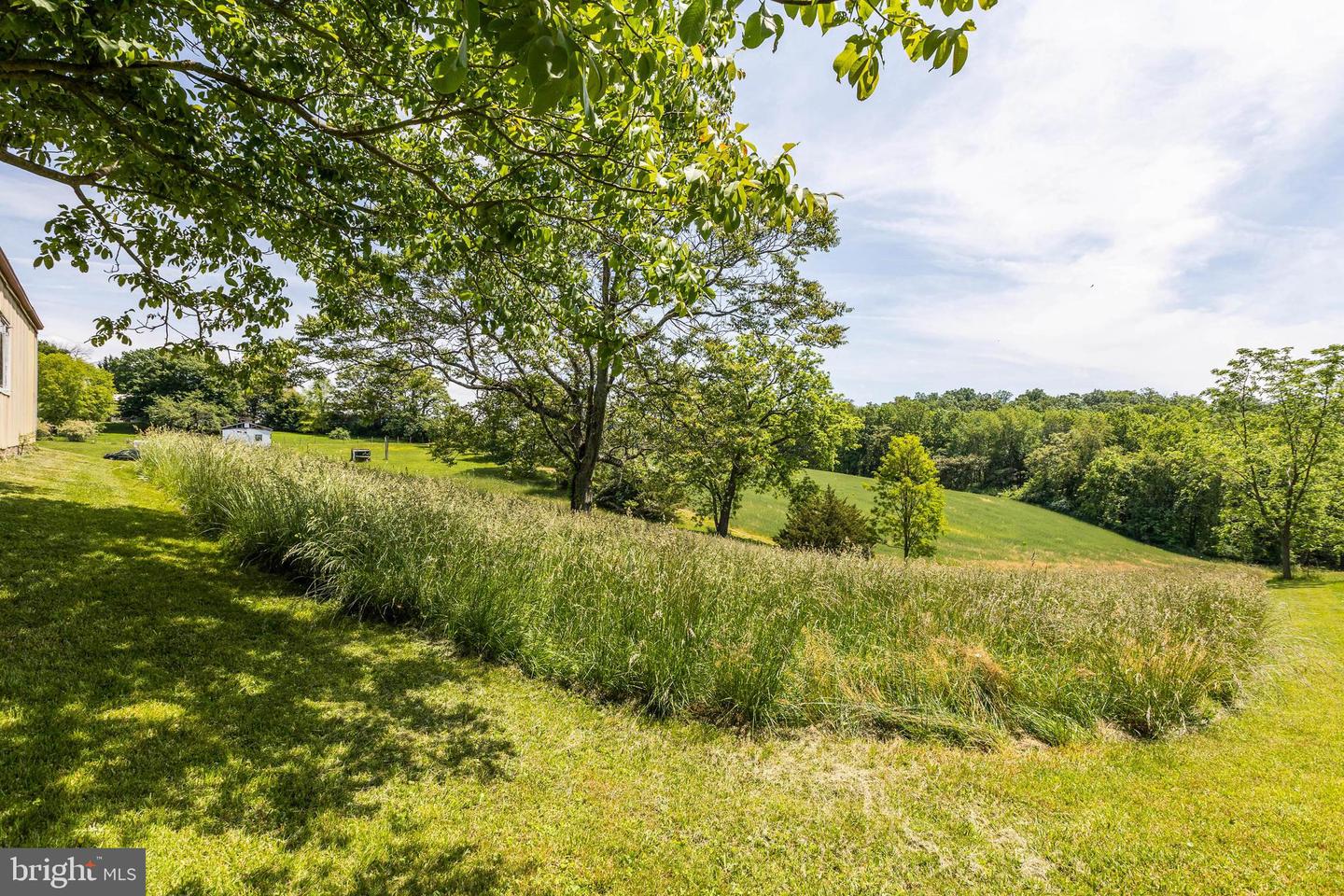 14513 Liberty ROAD