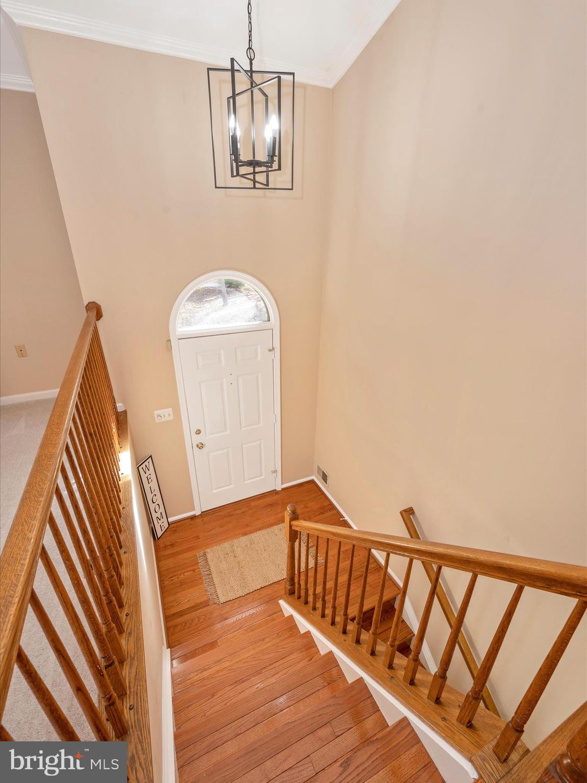 10392 Hedgeapple BEND
