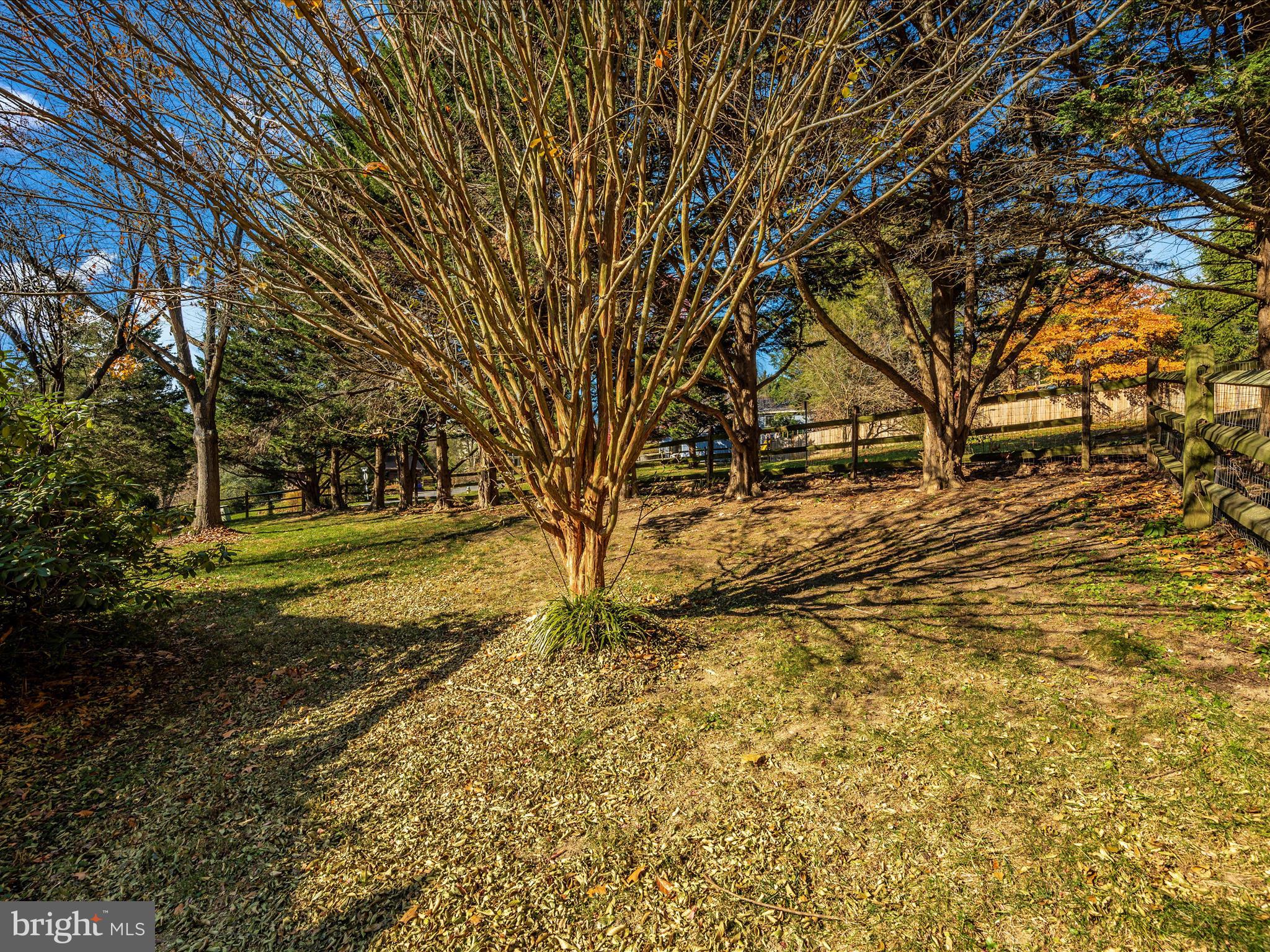 10392 Hedgeapple BEND