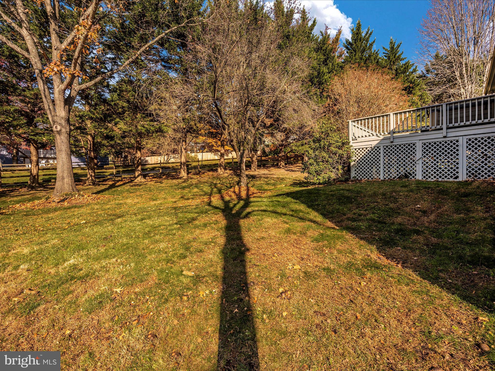 10392 Hedgeapple BEND