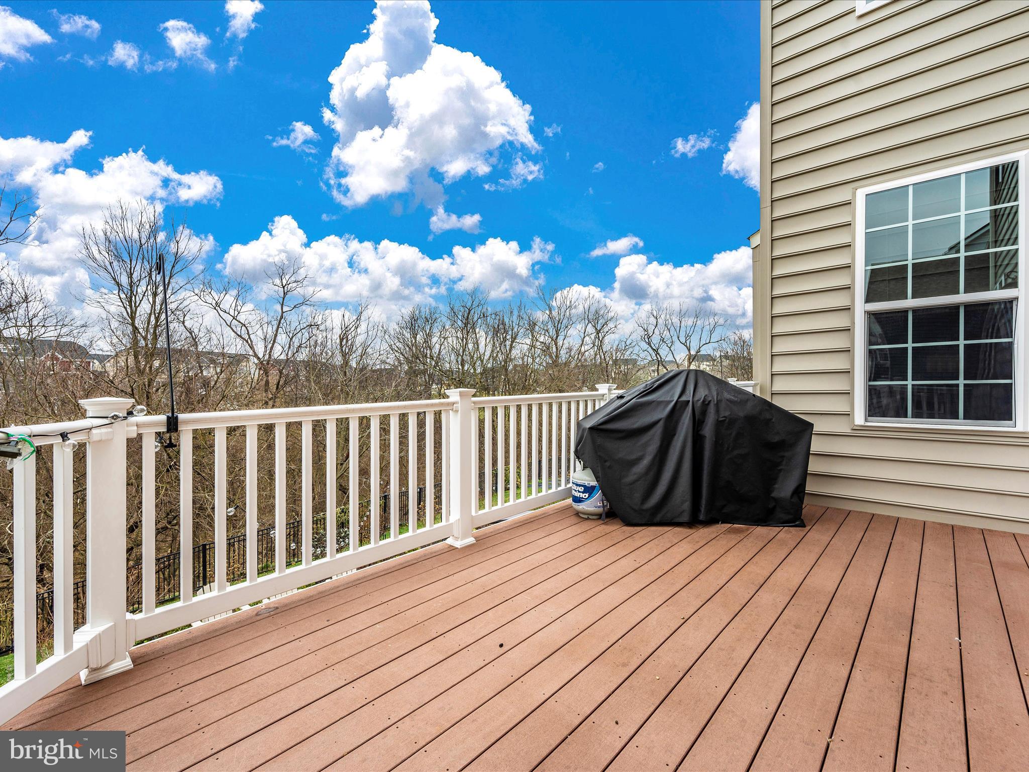 1204 Moore Spring Court