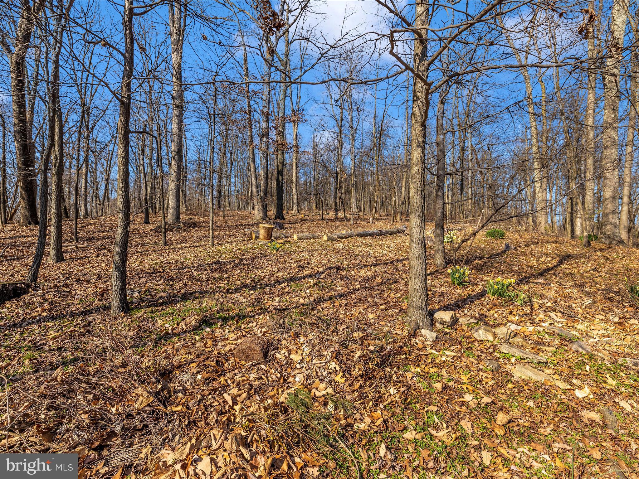 3948 Mar Lu Ridge Rd