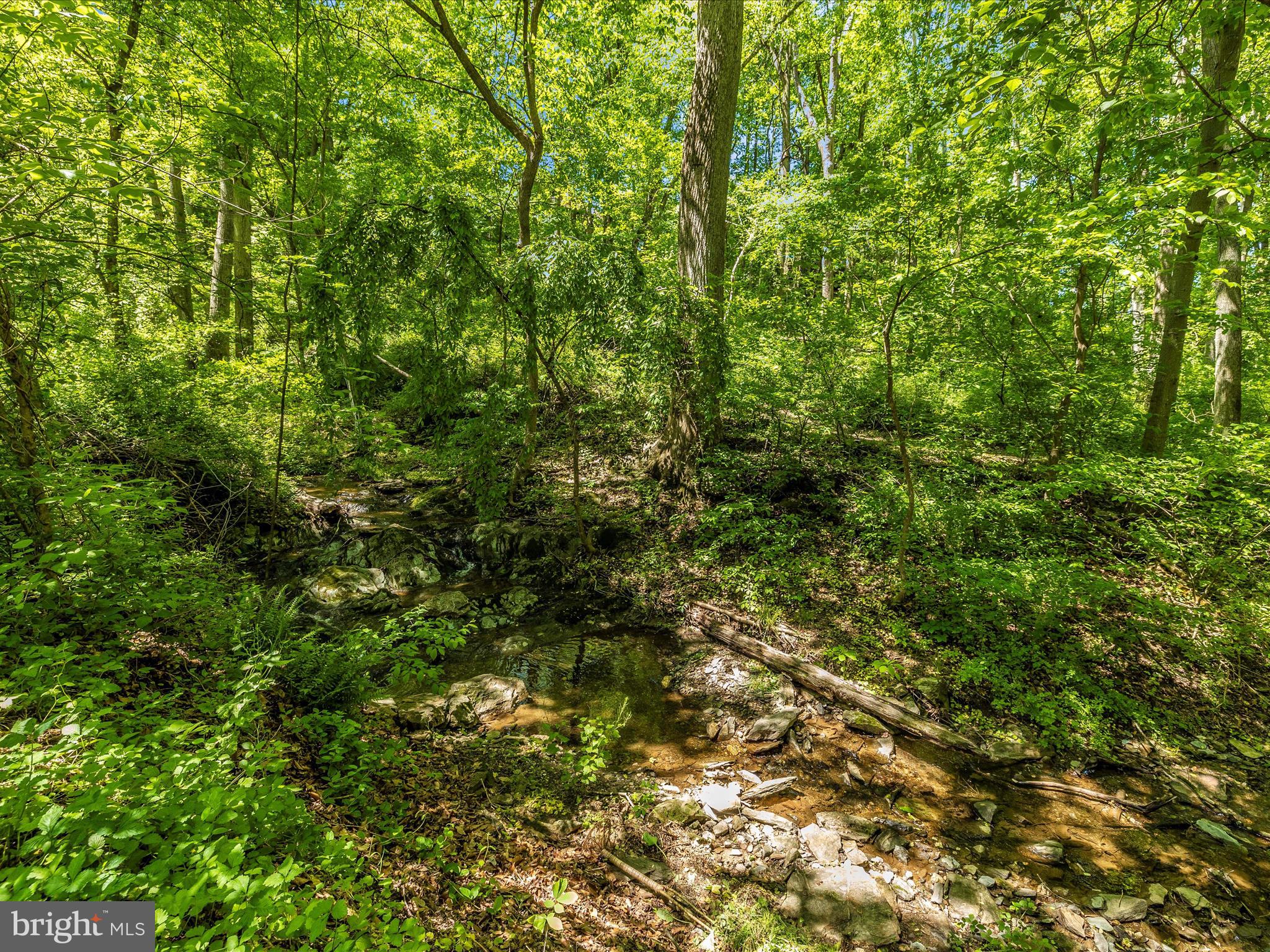 10780 Forest Edge Cir