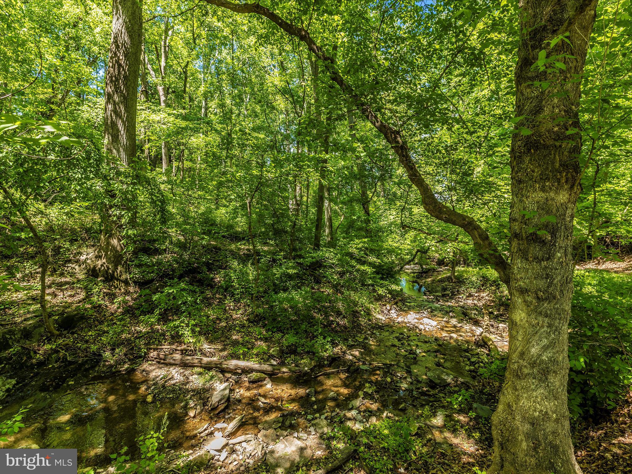 10780 Forest Edge Cir