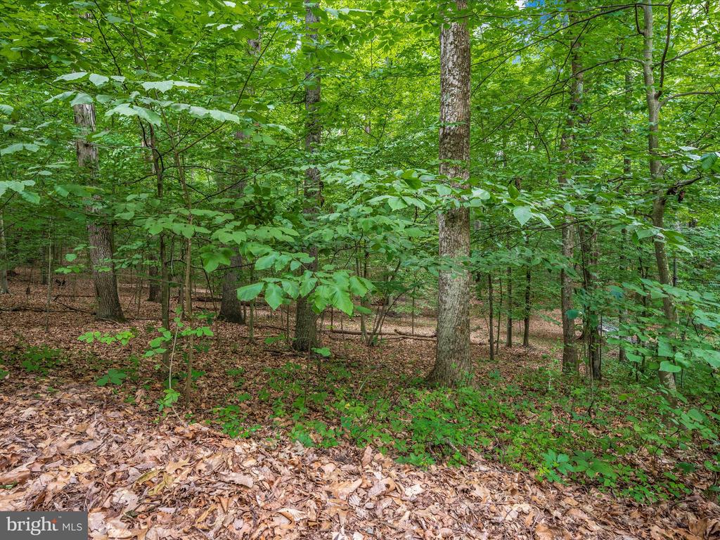 12644 Jesse Smith Rd