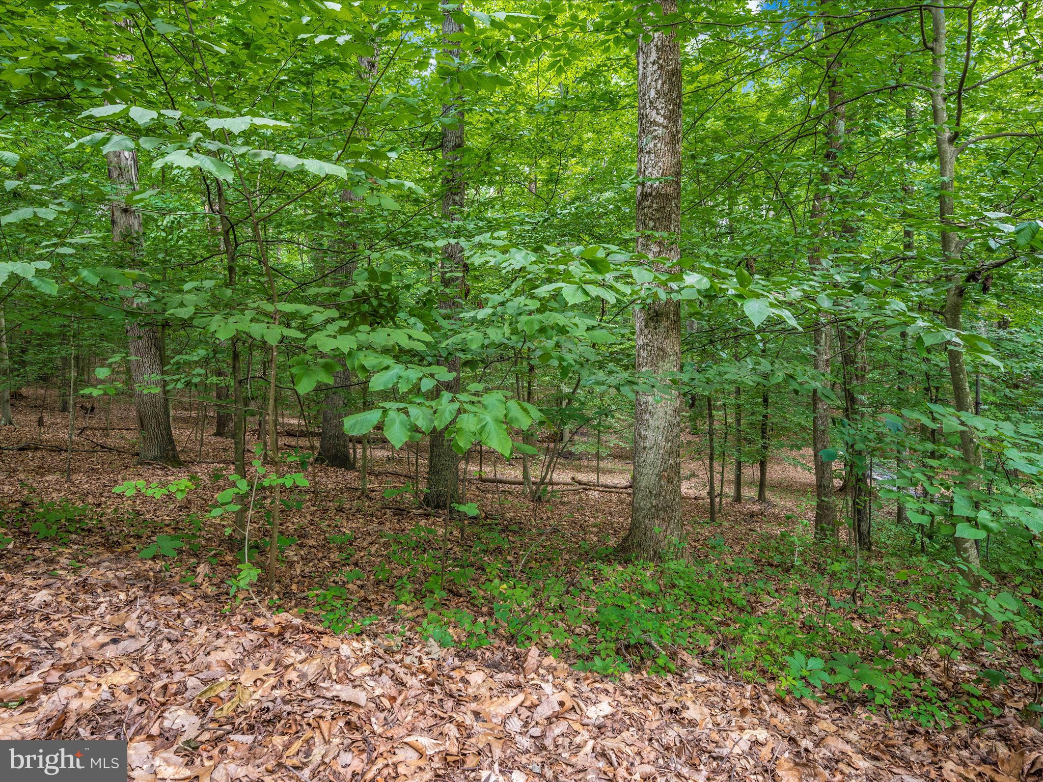 12644 Jesse Smith Rd