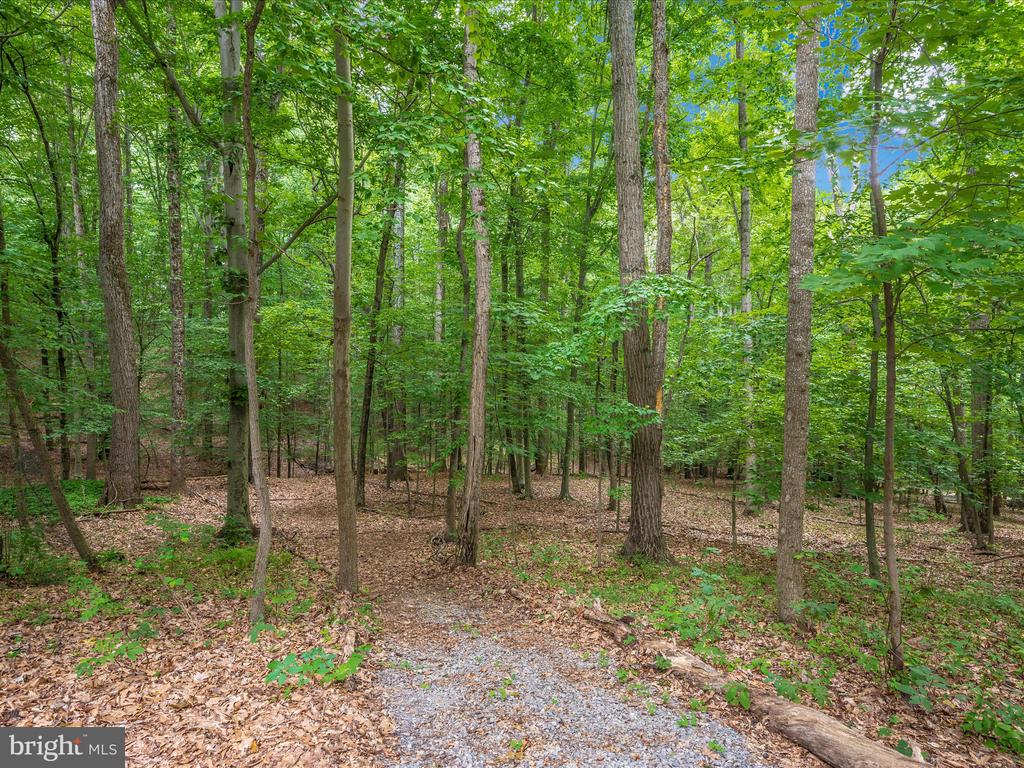 12644 Jesse Smith Rd