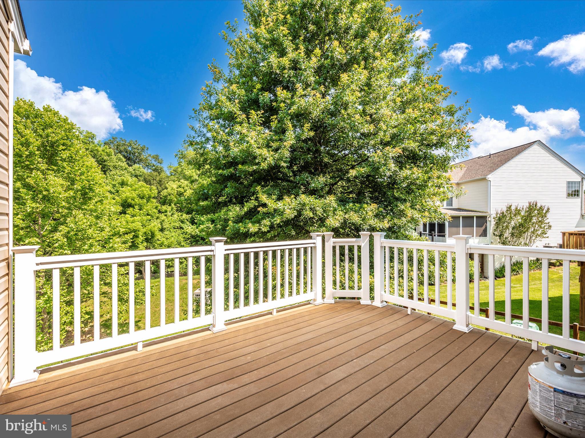 229 Galyn Dr