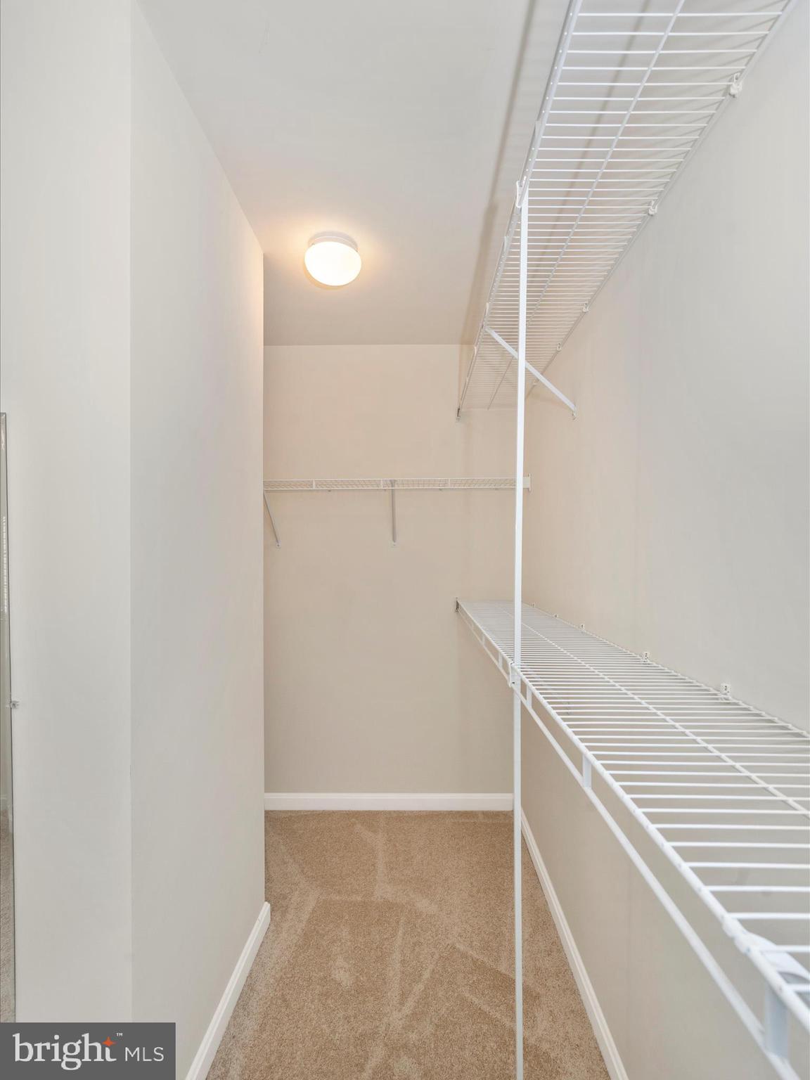 229 Galyn Dr
