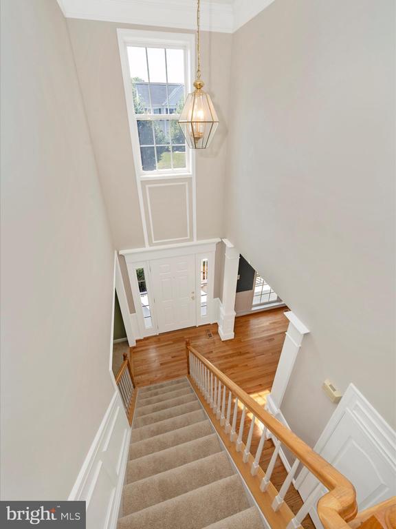229 Galyn Dr