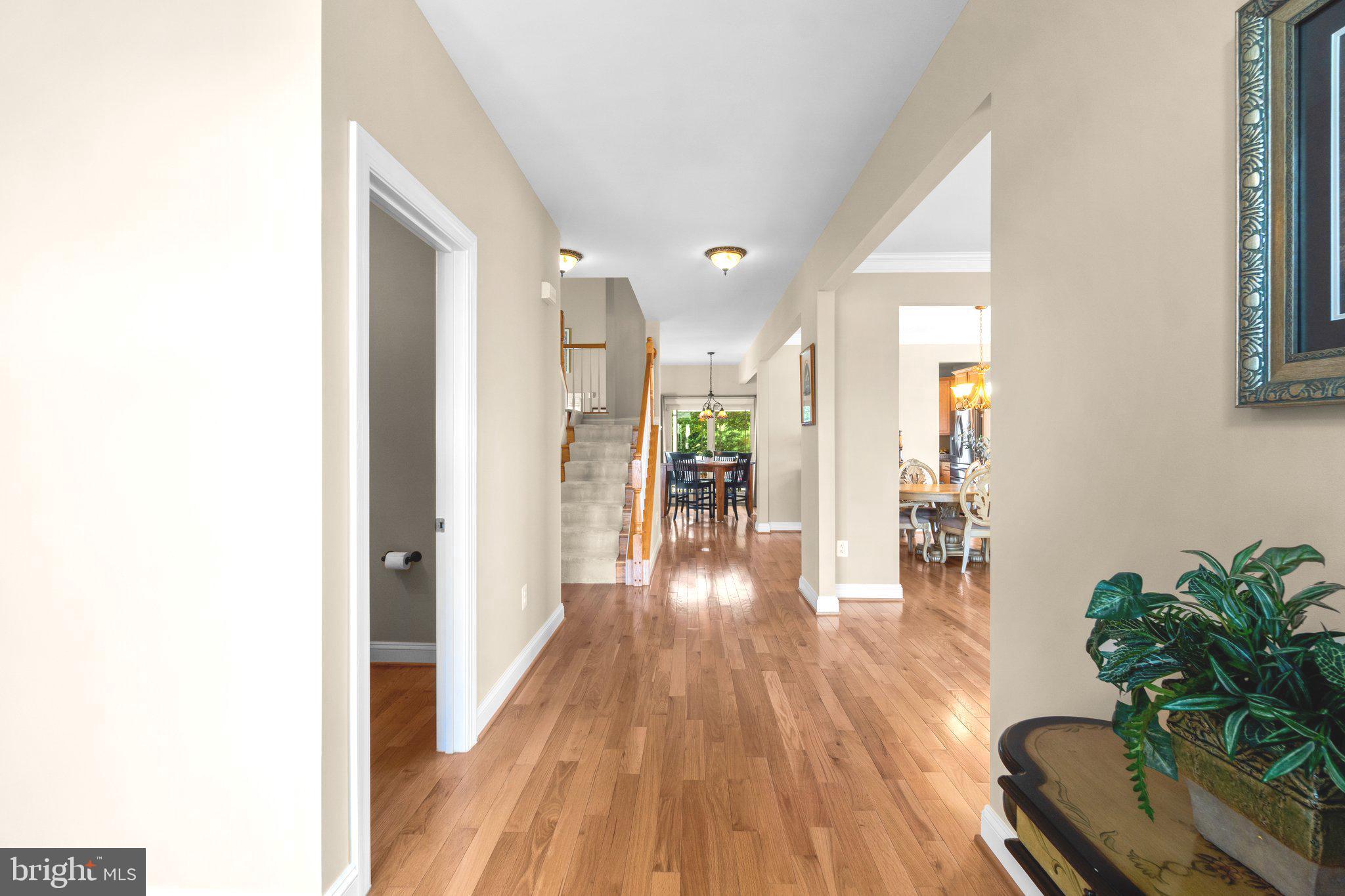 303 Poultney Pl