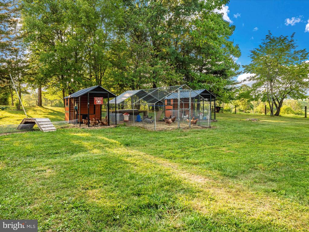 6832 WILLIS LANE