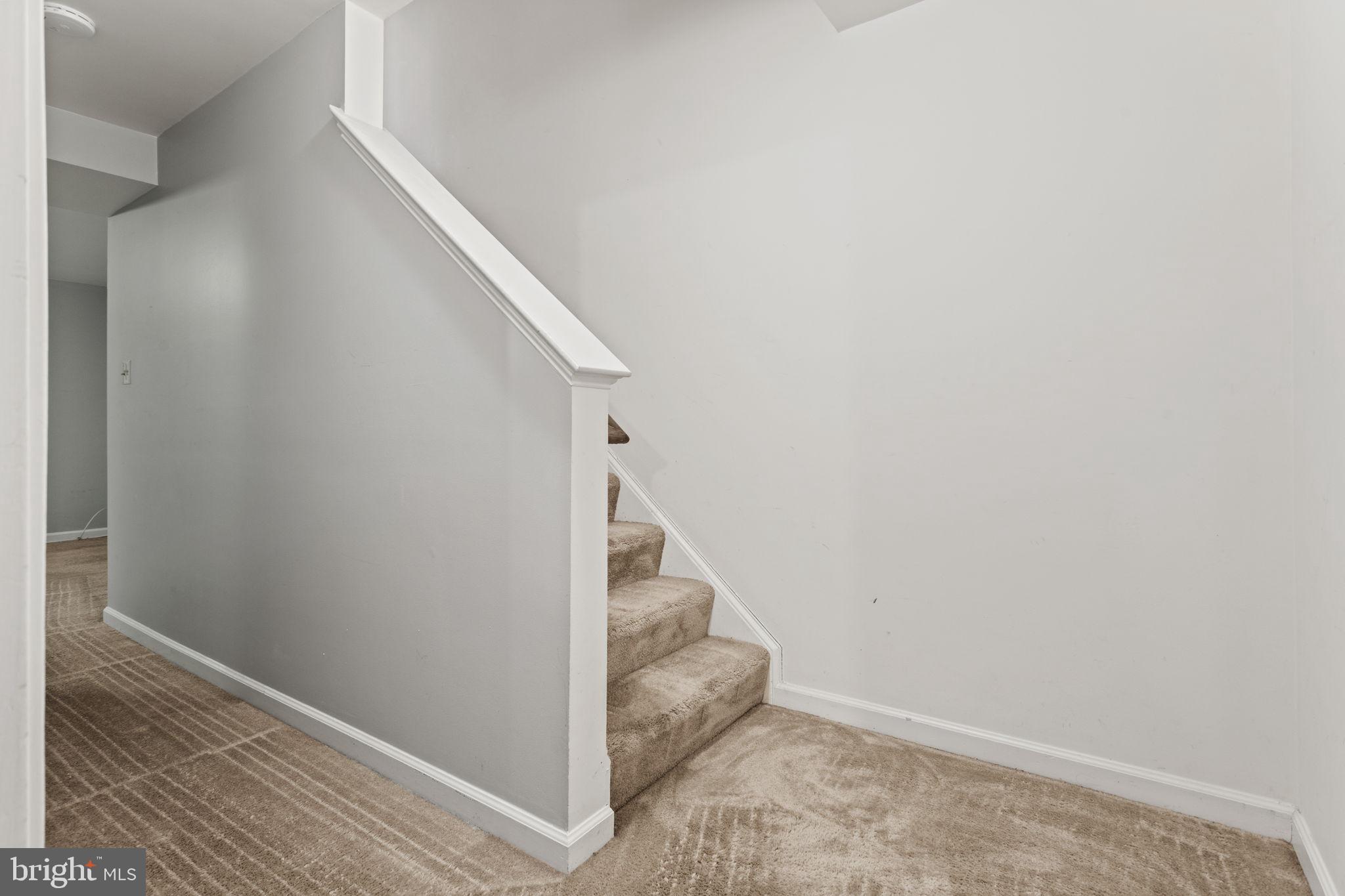 117 ADAMS CT