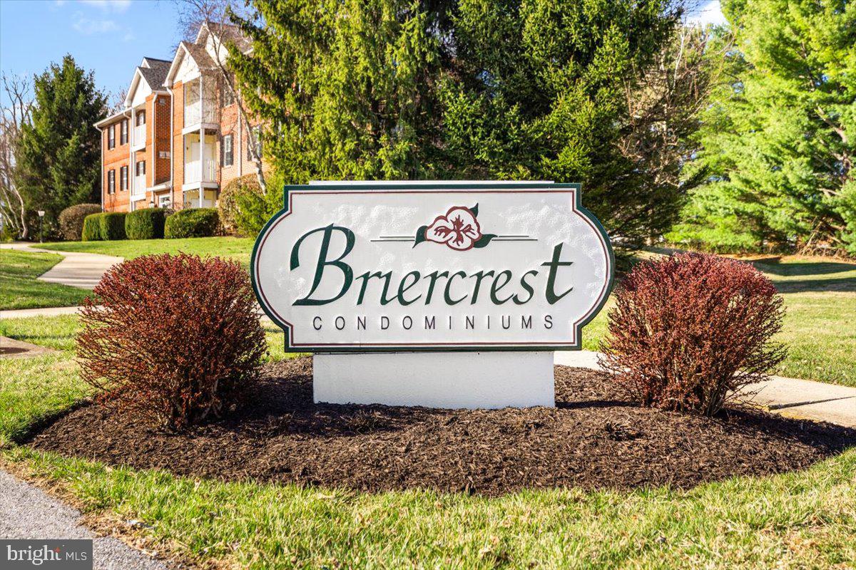 3860 SHADYWOOD DRIVE 3B