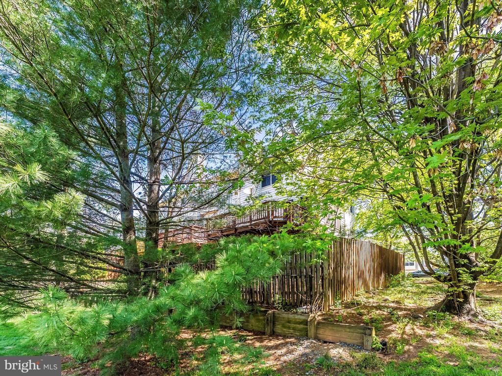 109 Rock Creek Ct