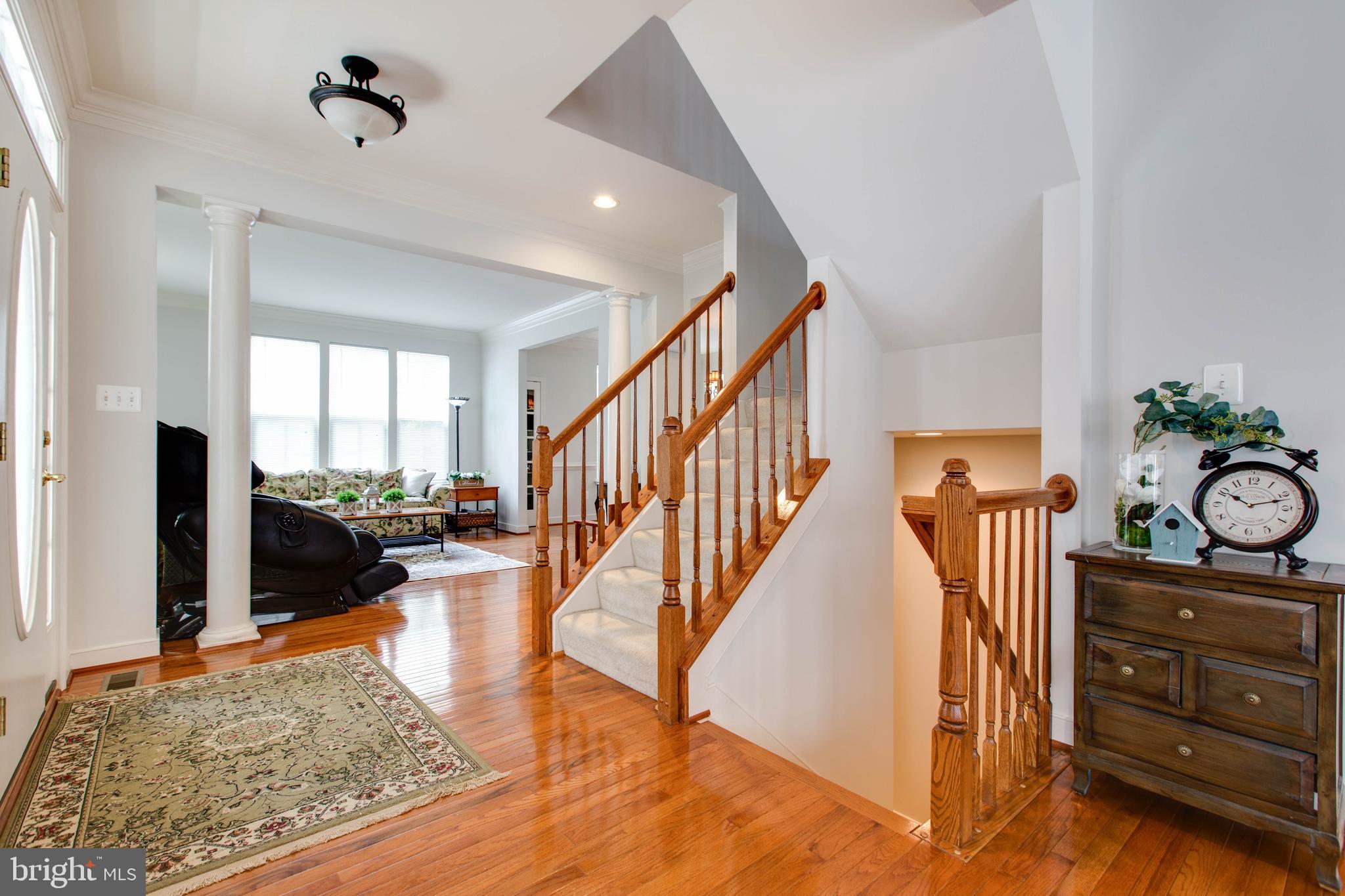 3861 BRAVEHEART DRIVE