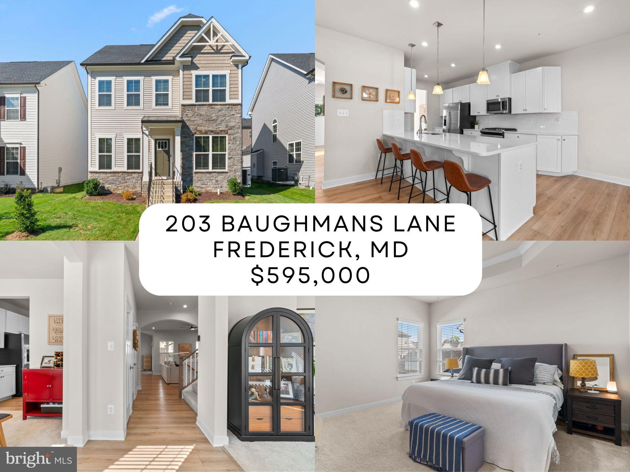 203 BAUGHMANS LANE