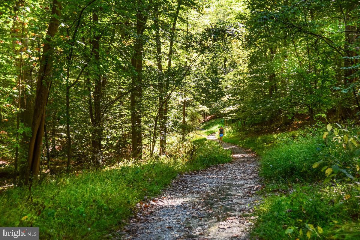 5806 PECKING STONE STREET