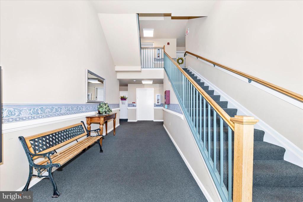 2501 CATOCTIN COURT 5 1D