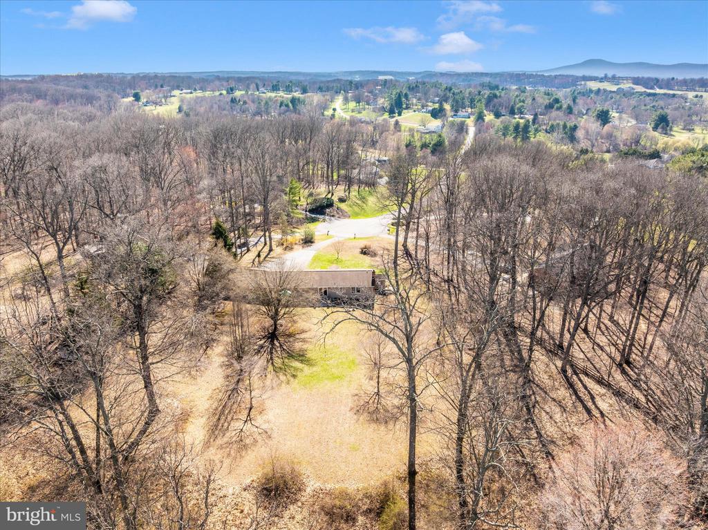 10523 ROLLING GREEN COURT