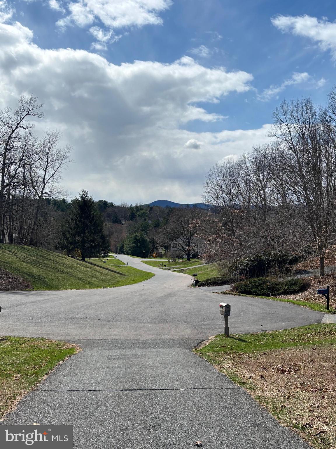 10523 ROLLING GREEN COURT