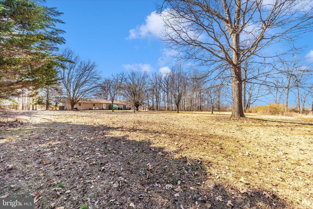 10523 ROLLING GREEN COURT