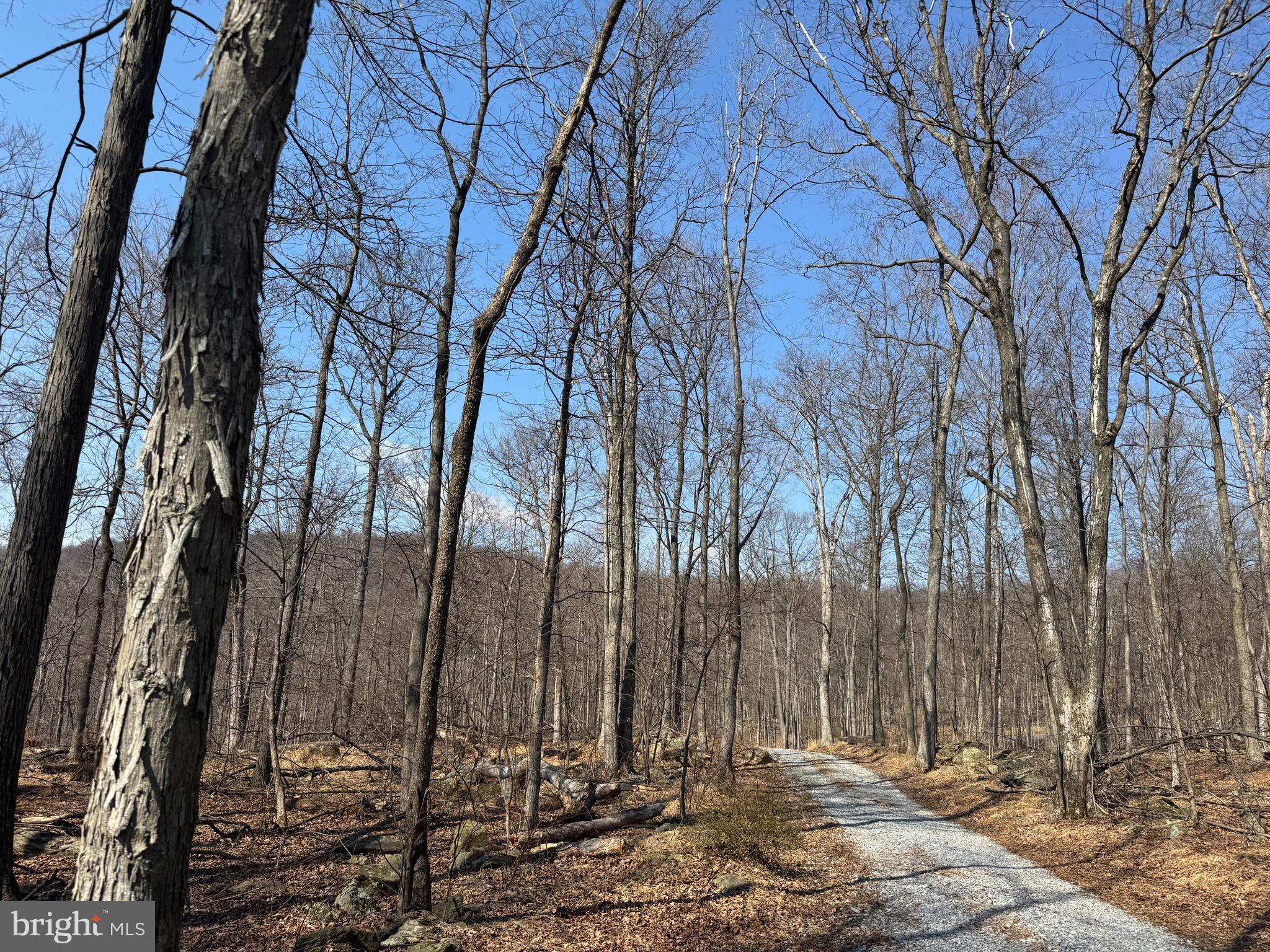 MIDDLE POINT ROAD