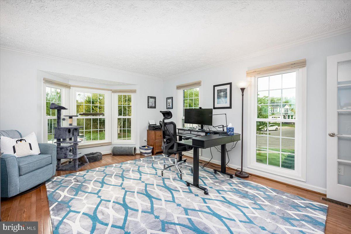 10651 EMMALINE DRIVE