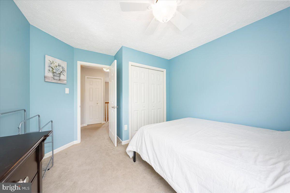 10651 EMMALINE DRIVE