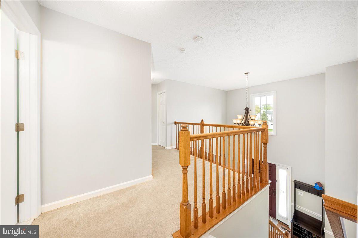 10651 EMMALINE DRIVE