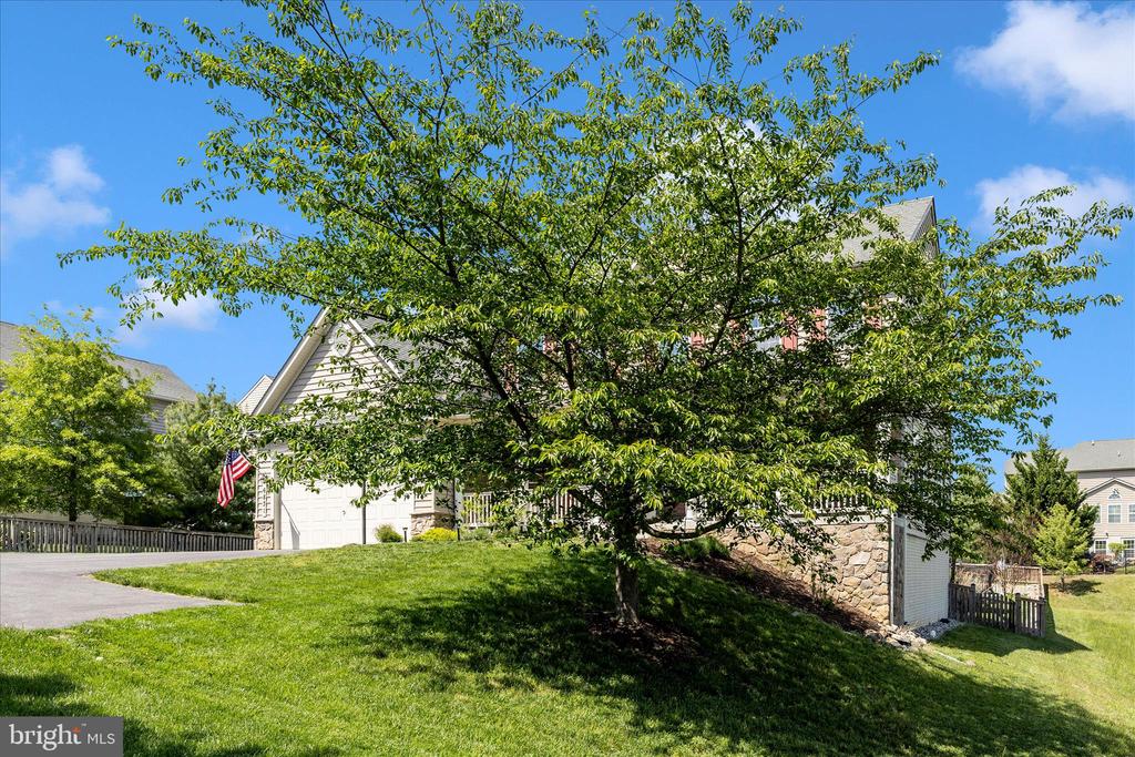 6831 REHNQUIST COURT