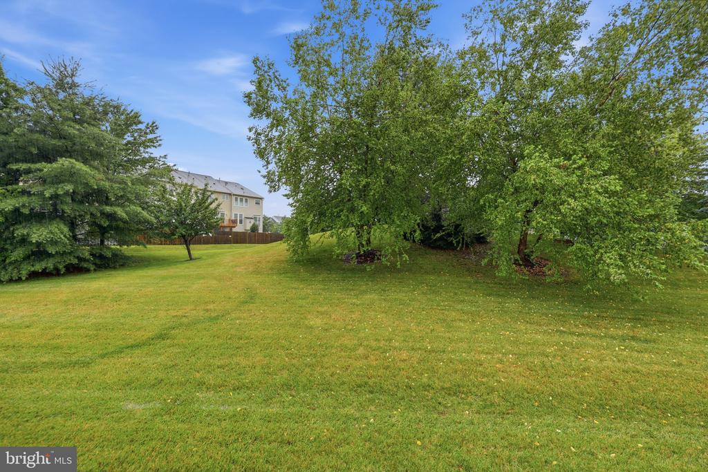 10619 NATHANIEL WAY Unit: 20