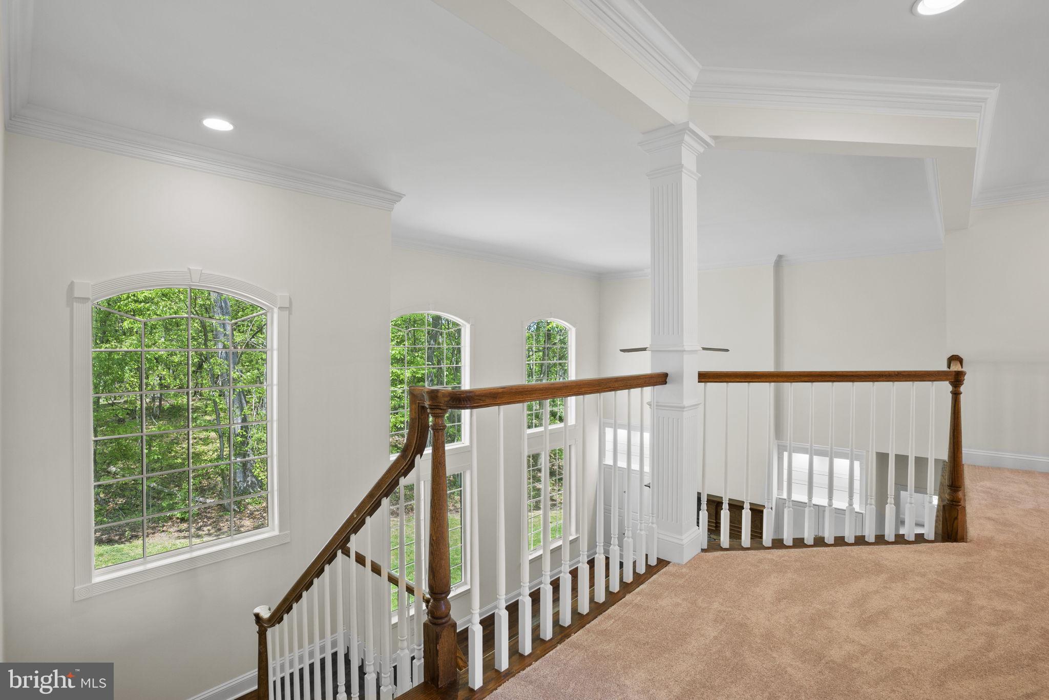 10316 Princeton Cir