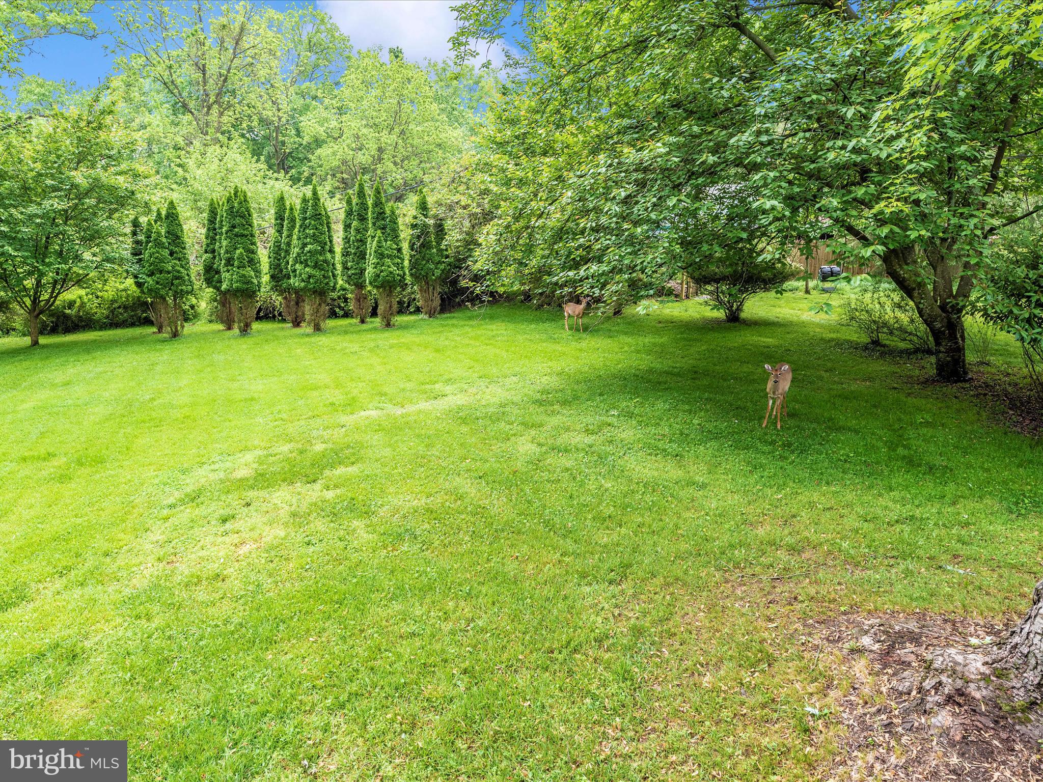 2918 Greenlow Ct