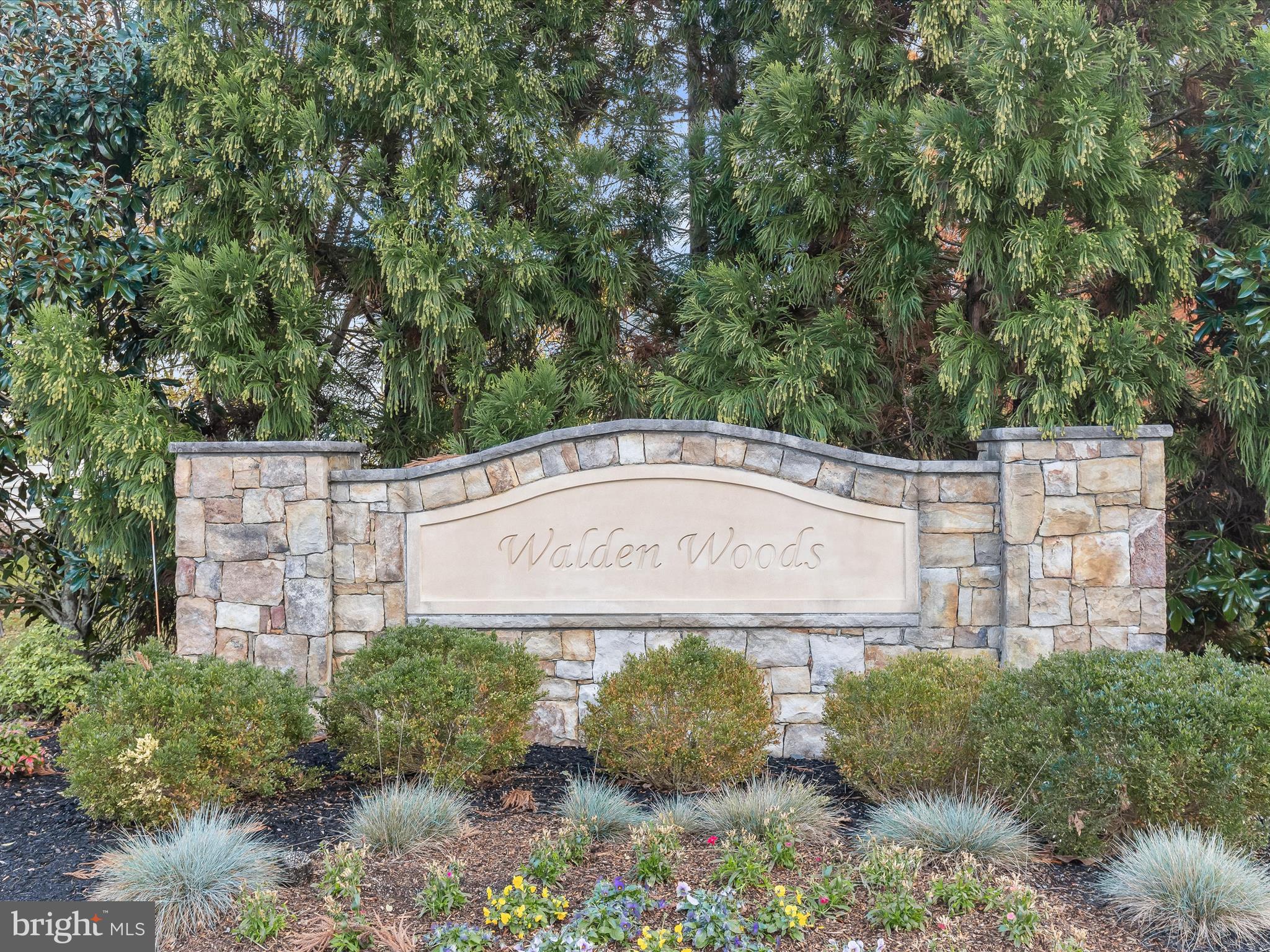 9902 SIMPLICITY COURT