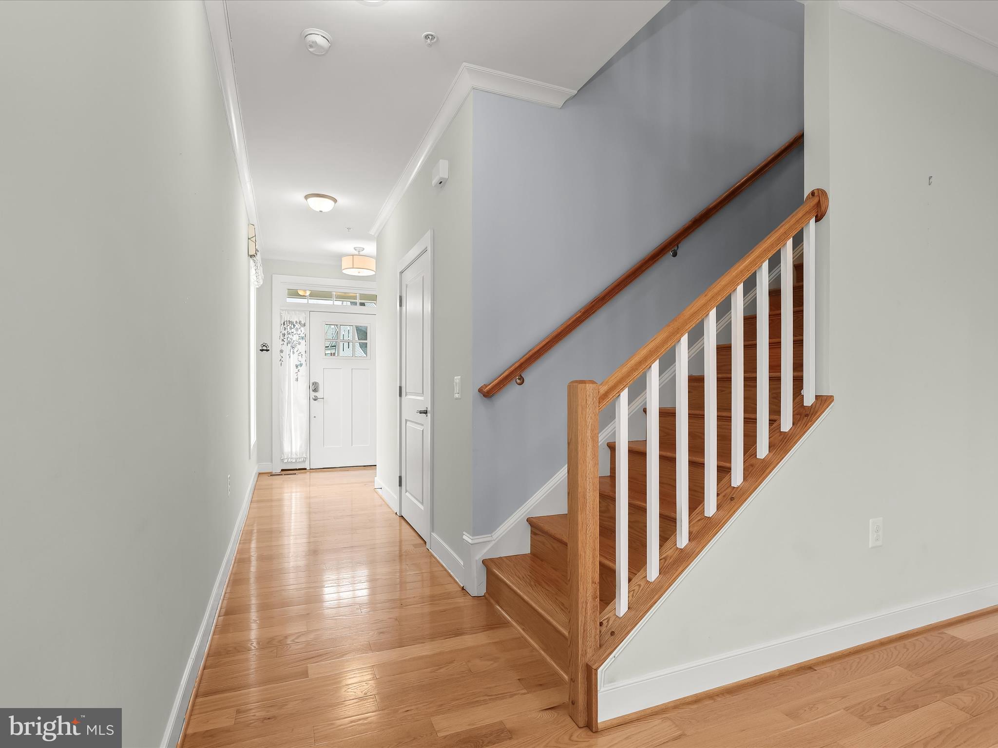 9902 SIMPLICITY COURT