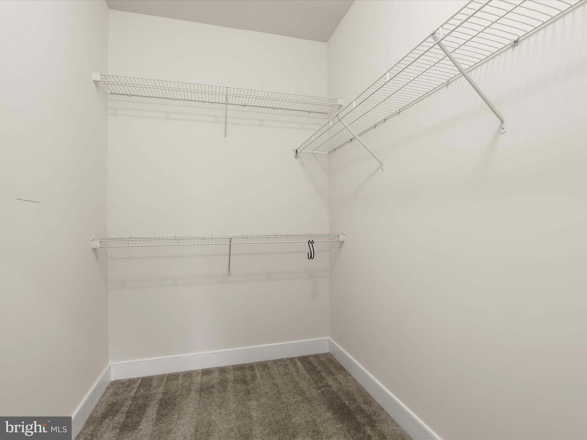 9902 SIMPLICITY COURT